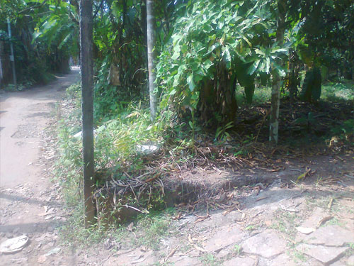 House Plot house plot  for sale in calicut , wast hill 